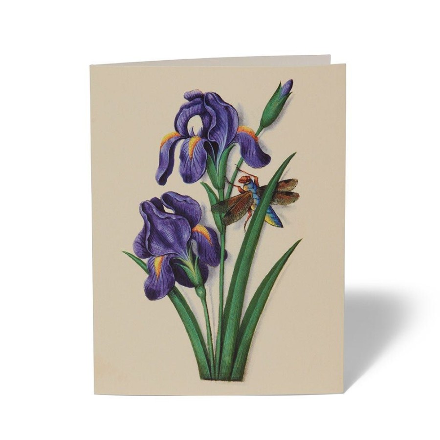 The Metropolitan Museum of Art The Met Cloisters Garden Notecards | Notecards & Correspondence