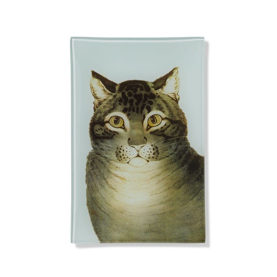 The Metropolitan Museum of Art The Favorite Cat Glass Tray | Decorative Accents