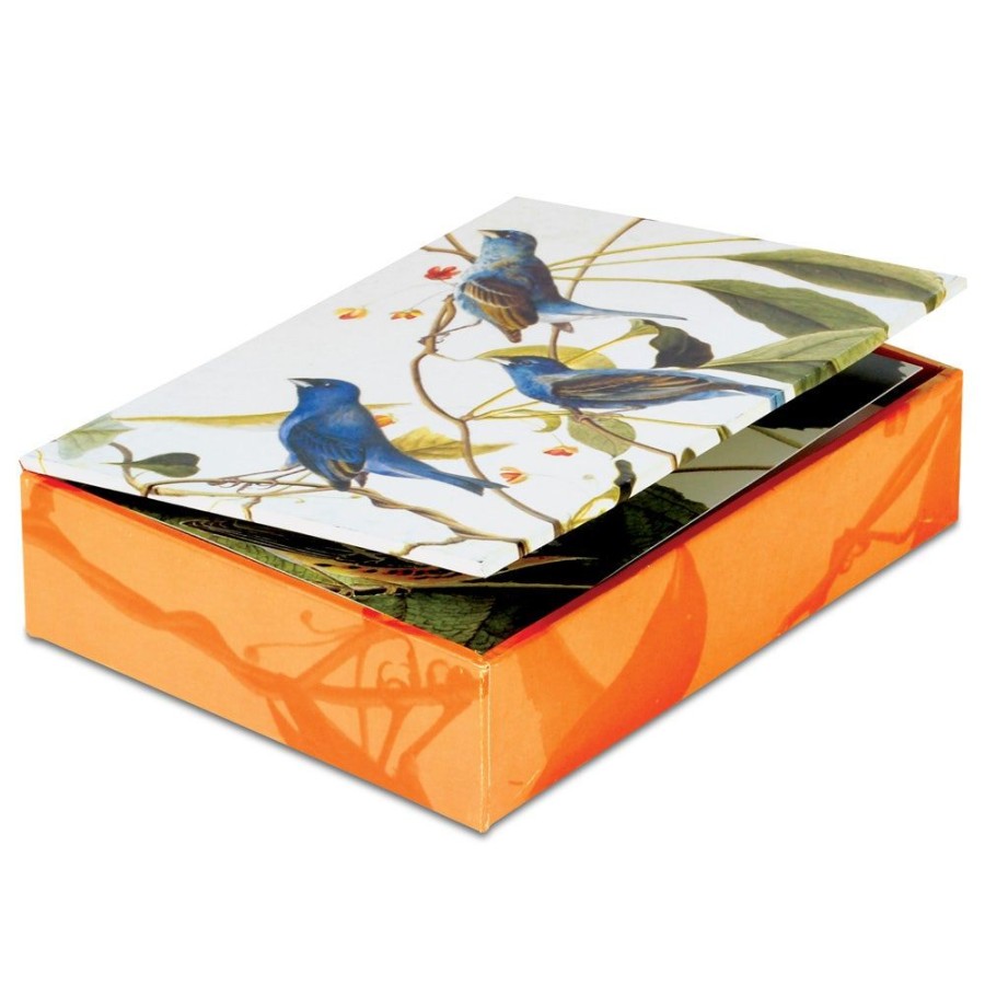 The Metropolitan Museum of Art Audubon Birds Notecards | Notecards & Correspondence