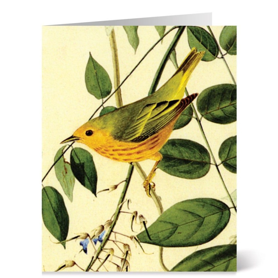 The Metropolitan Museum of Art Audubon Birds Notecards | Notecards & Correspondence