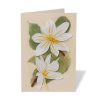 The Metropolitan Museum of Art Studies Of Magnolias Quilled Card | Notecards & Correspondence