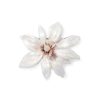 The Metropolitan Museum of Art Magnolia Brooch | Pins & Brooches