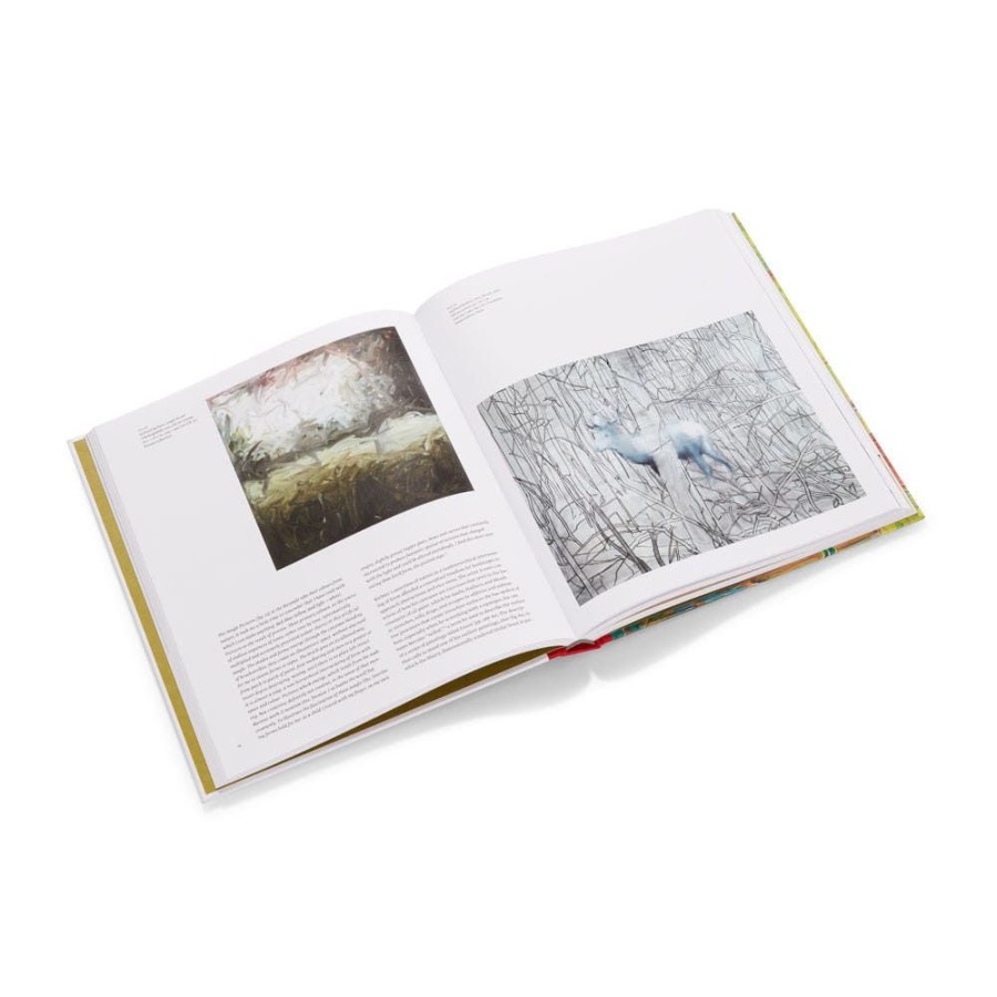 The Metropolitan Museum of Art Gerhard Richter: Painting After All | Exhibition Catalogues